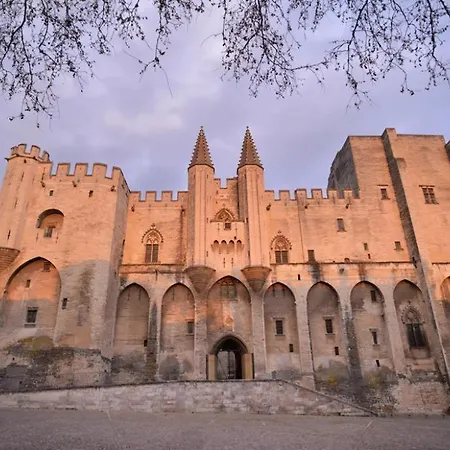 Appartement Lunaria Annua Centre-historique Avignon, à Deux Pas Du Palais, 4-5 Personnes Wifi